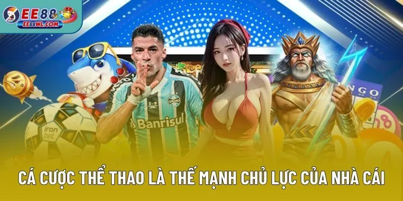 Cá cược thể thao là một thế mạnh chủ lực của nhà cái