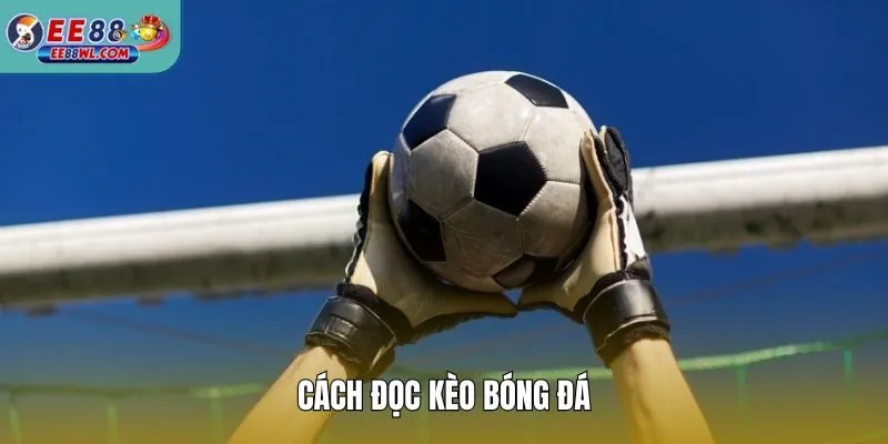 Cách Đọc Kèo Bóng Đá