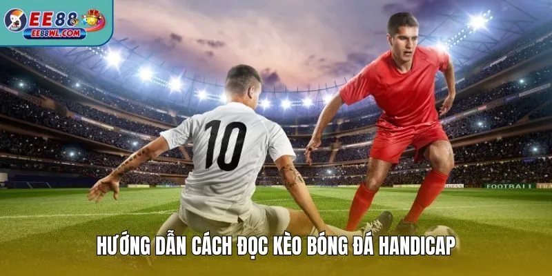 Hướng dẫn cách đọc kèo bóng đá Handicap