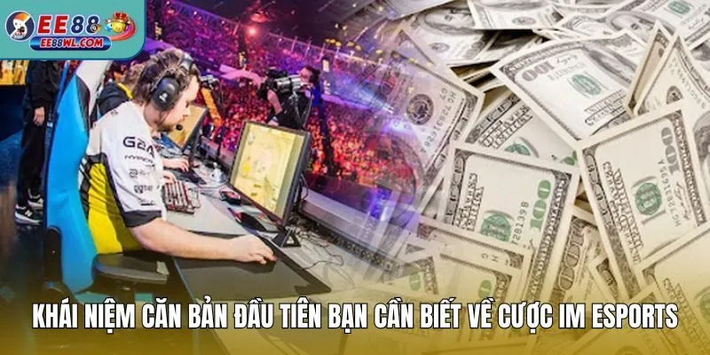Khái niệm căn bản đầu tiên bạn cần biết về cược IM Esports