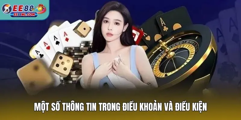 Một số thông tin trong điều khoản và điều kiện