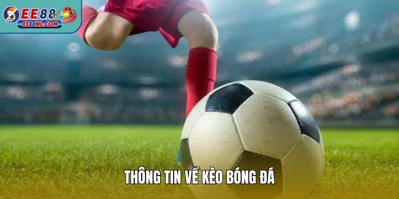 Thông tin về kèo bóng đá
