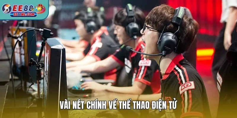 Vài nét chính về thể thao điện tử